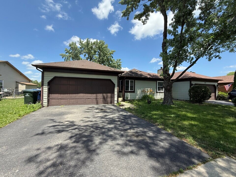 547 Fessler Ave in Naperville, IL - Building Photo