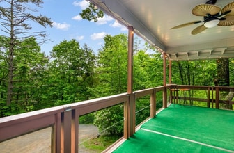 338 Canter Ct in Ellijay, GA - Building Photo - Building Photo