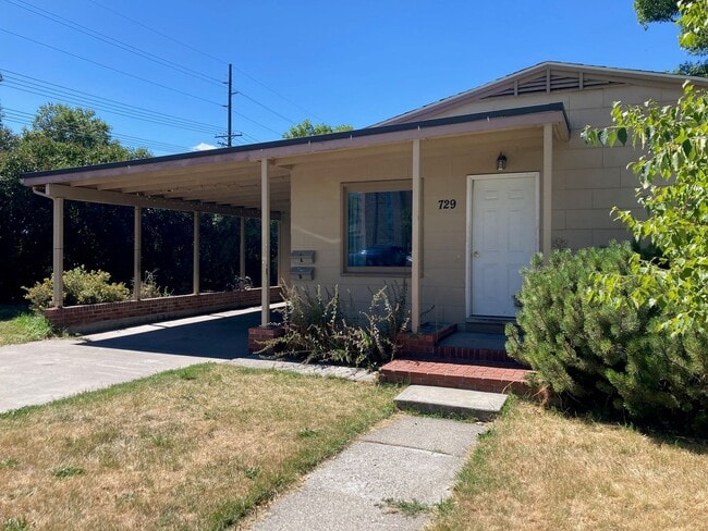 property at 729 S 14th Ave