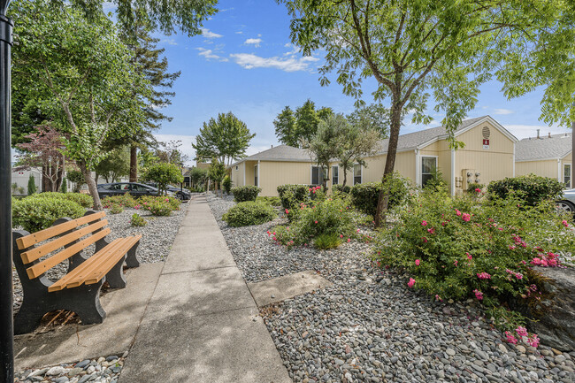 Redwood Meadows Senior Apartments in Willits, CA - Building Photo - Building Photo