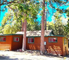 25305 Marion Ridge Dr in Idyllwild, CA - Building Photo