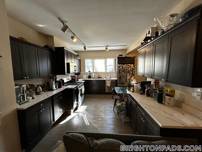 14 Woodmont St in Boston, MA - Building Photo - Building Photo