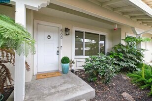 560 La Copita Ct in San Ramon, CA - Building Photo