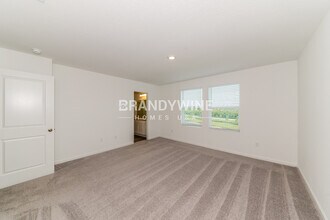10419 Ladybug Cv in Parrish, FL - Building Photo - Building Photo