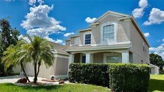 30407 Princess Bay Dr in Wesley Chapel, FL - Building Photo