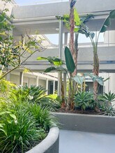 Cambridge Court Apartments in Canoga Park, CA - Foto de edificio - Building Photo