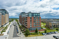 Indigo Condominiums in Maple in Vaughan, ON - Building Photo - Building Photo