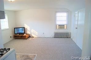 11 Cortelyou St W in Huntington Station, NY - Building Photo - Building Photo