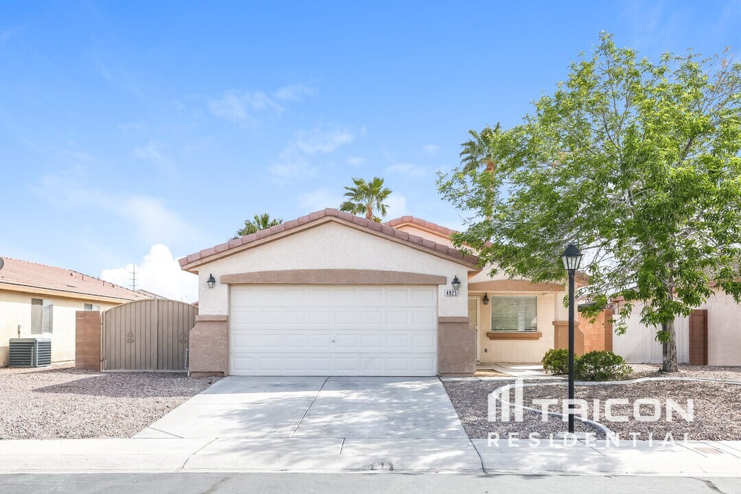 4825 River Splash Ave in Las Vegas, NV - Building Photo