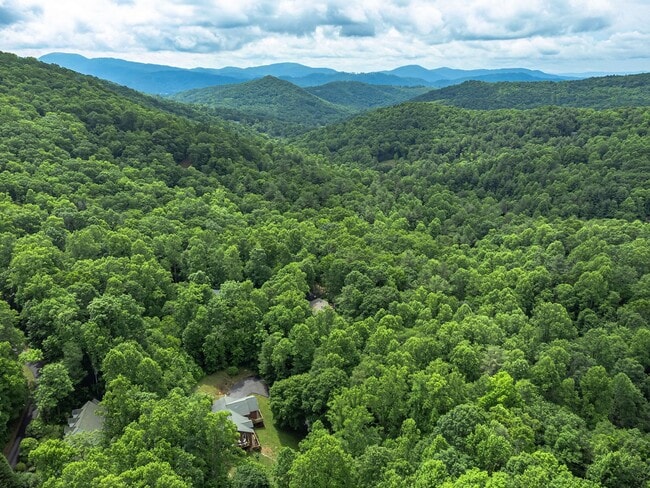 22 Indian Knob Rd in Asheville, NC - Building Photo - Building Photo