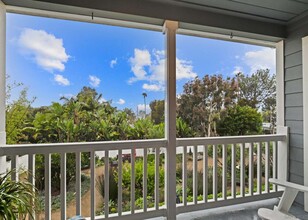 1204 Hygeia Ave in Encinitas, CA - Building Photo - Building Photo