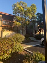 5422 Adobe Falls Rd in San Diego, CA - Building Photo - Building Photo