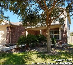 661 Cotton in Schertz, TX - Building Photo - Building Photo