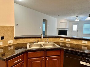 30415 Deleon Fields Dr in Spring, TX - Building Photo - Building Photo