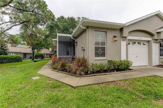 3147 Brooker Creek Way in Palm Harbor, FL - Building Photo - Building Photo