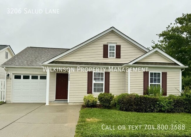 property at 3206 Salud Ln