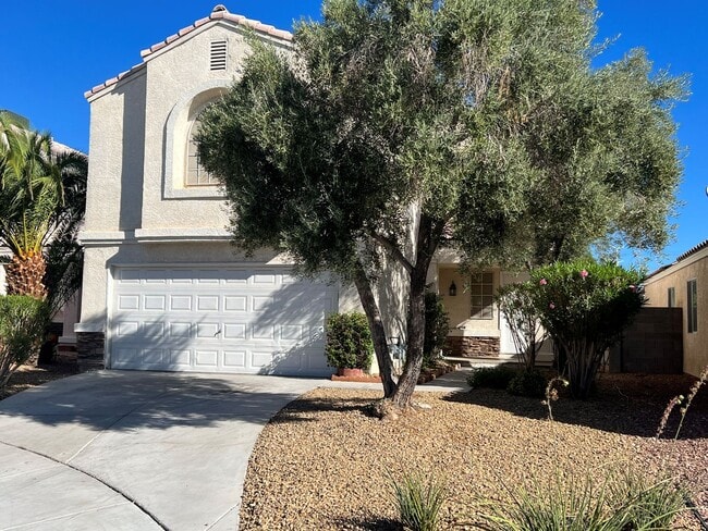 property at 8252 Cactus Root Ct