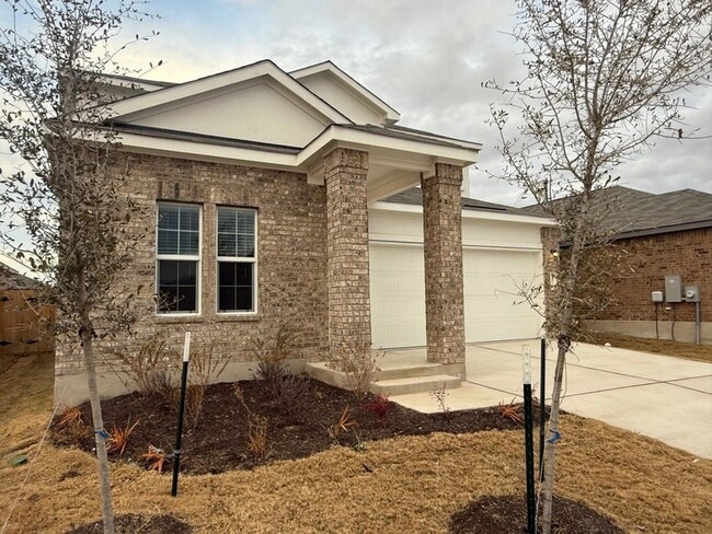 203 Herald Dr in Hutto, TX - Building Photo - Building Photo