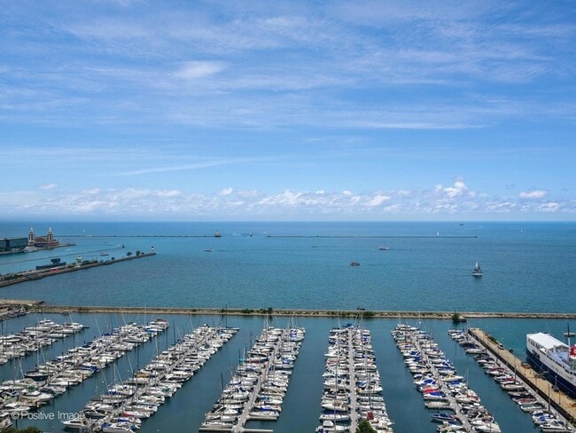 155 N Harbor Dr, Unit 310 in Chicago, IL - Building Photo - Building Photo