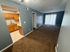 2408 W Pasmoso Dr in Peoria, IL - Building Photo - Building Photo