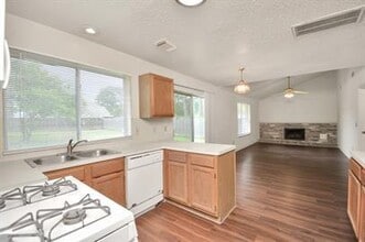 17210 Colony Creek Dr in Spring, TX - Building Photo - Building Photo