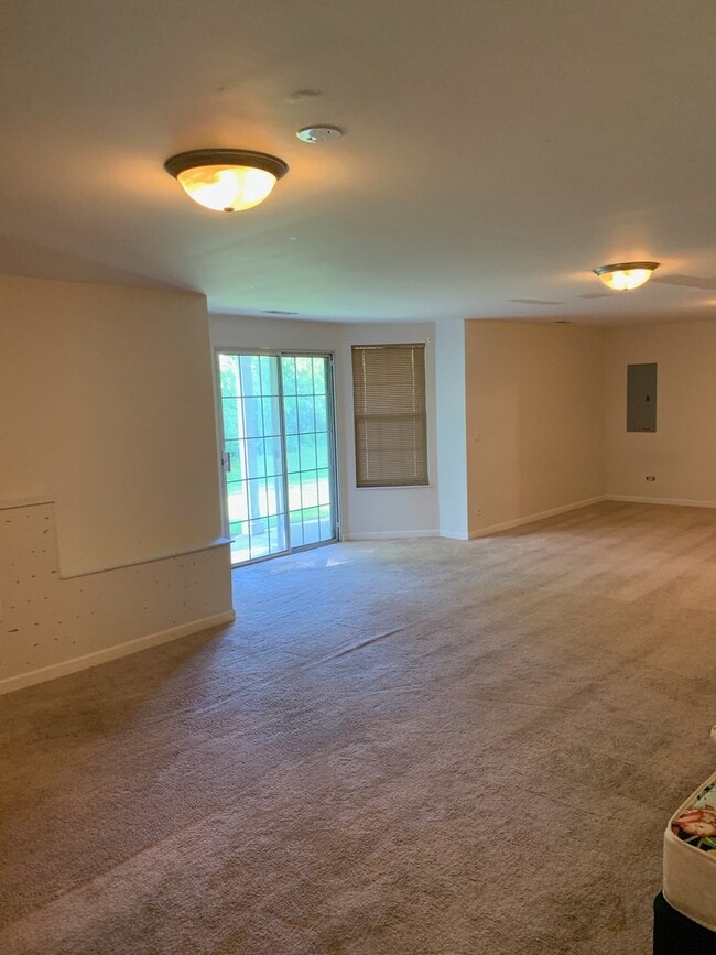 257 Rainier Way in Fox Lake, IL - Building Photo - Building Photo