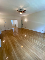 20 Alton Pl, Unit 1A in Brookline, MA - Building Photo - Building Photo