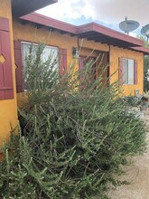 8680 Star Ln in Joshua Tree, CA - Building Photo - Building Photo