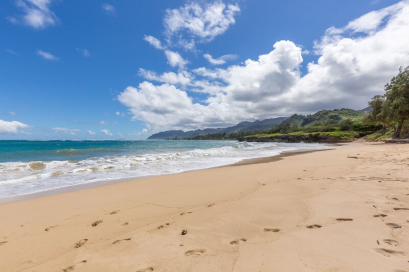 55-116-116 Naupaka St in Laie, HI - Building Photo