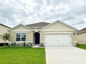 2877 Sunridge Lp in St. Cloud, FL - Building Photo