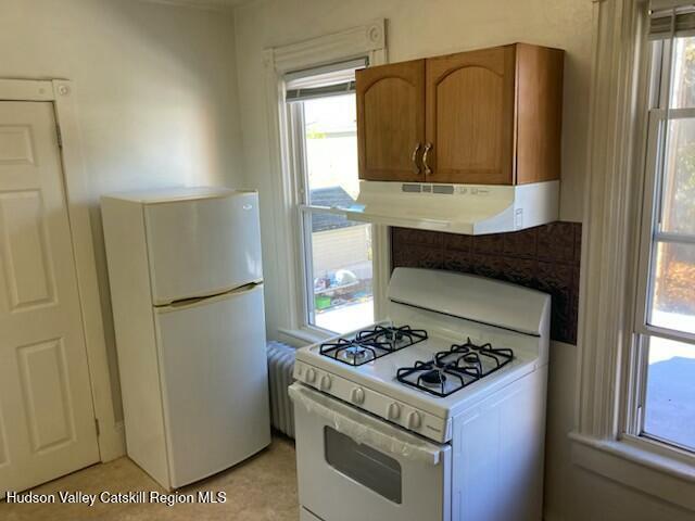 61 Downs St in Kingston, NY - Building Photo - Building Photo