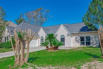 16002 Castletown Park Ct in Spring, TX - Building Photo - Building Photo