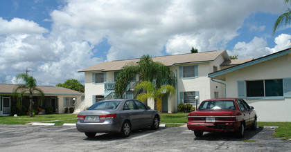 317 Tudor Dr in Cape Coral, FL - Building Photo - Building Photo