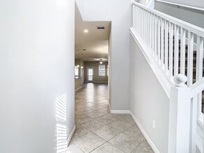 925 Terra Vista St in Brandon, FL - Building Photo - Building Photo