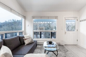 900 E Hopkins Ave in Aspen, CO - Building Photo - Building Photo