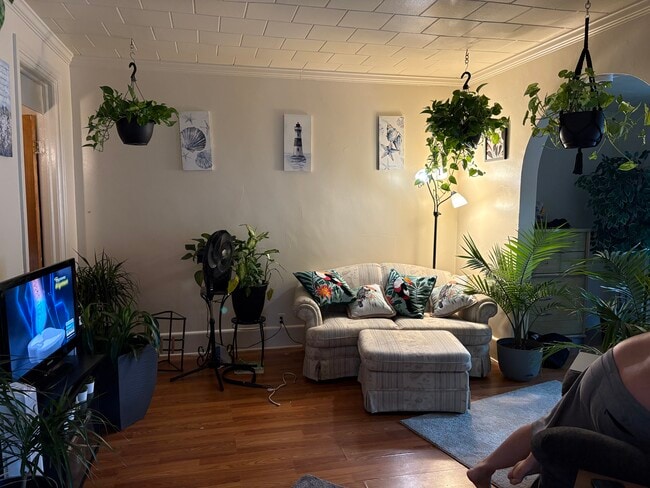 81 Cameron St, Unit 81 Back