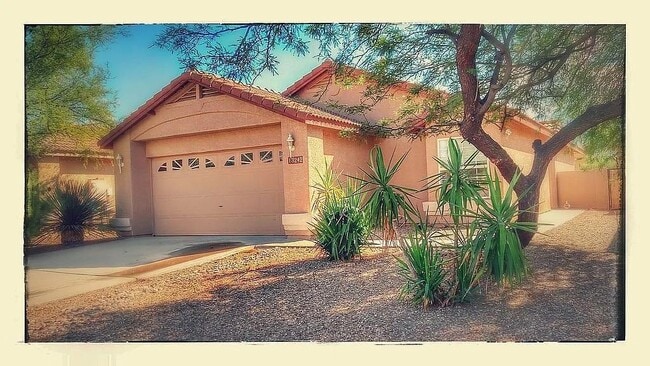 property at 13242 N Lost Artifact Ln