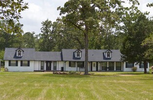 2369 Apache Dr in Montgomery, TX - Building Photo