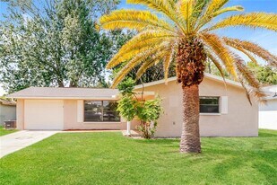 4248 Raccoon Loop in New Port Richey, FL - Building Photo