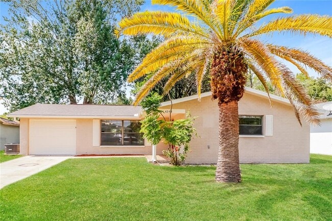 property at 4248 Raccoon Loop