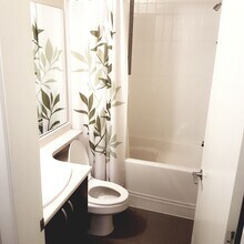 13768 108 Av in Surrey, BC - Building Photo - Building Photo