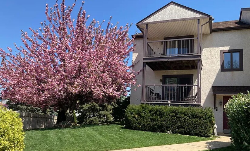 801 Cambridge Cir, Unit B in Clifton Heights, PA - Foto de edificio