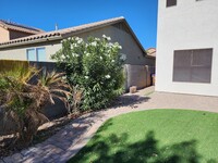 42225 W Lunar St in Maricopa, AZ - Foto de edificio - Building Photo