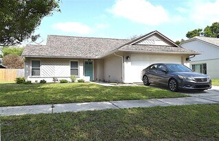 2009 Branch Tree Ln in Brandon, FL - Building Photo