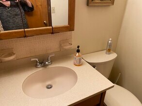 206 Hanshaw Rd, Unit Apartment in Ithaca, NY - Building Photo - Building Photo