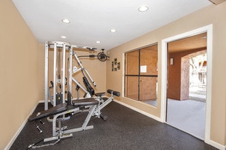 Paradise Foothills Apartment Homes in Phoenix, AZ - Foto de edificio - Building Photo