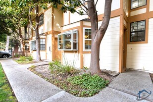 175 Evandale Ave in Mountain View, CA - Building Photo