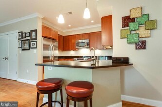 3131 9th Rd N in Arlington, VA - Building Photo - Building Photo