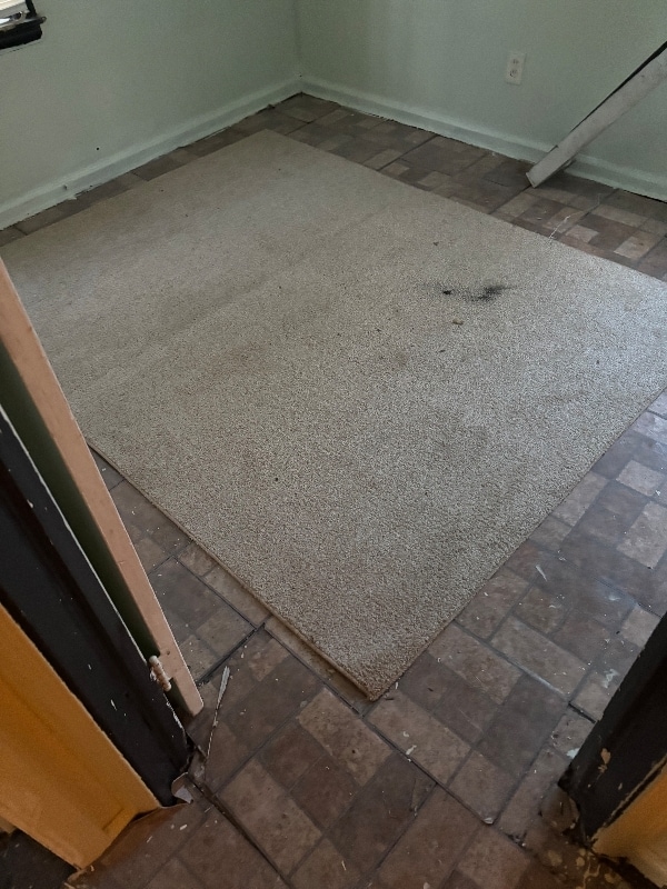 20438 Russell in Detroit, MI - Building Photo - Building Photo