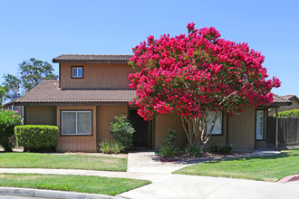 Ridgeview Meadows in Merced, CA - Building Photo - Building Photo